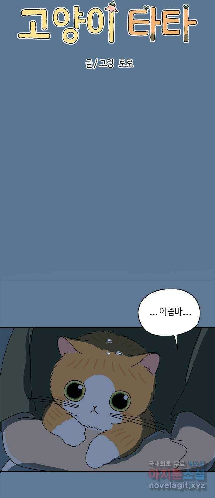 고양이 타타 28화 21