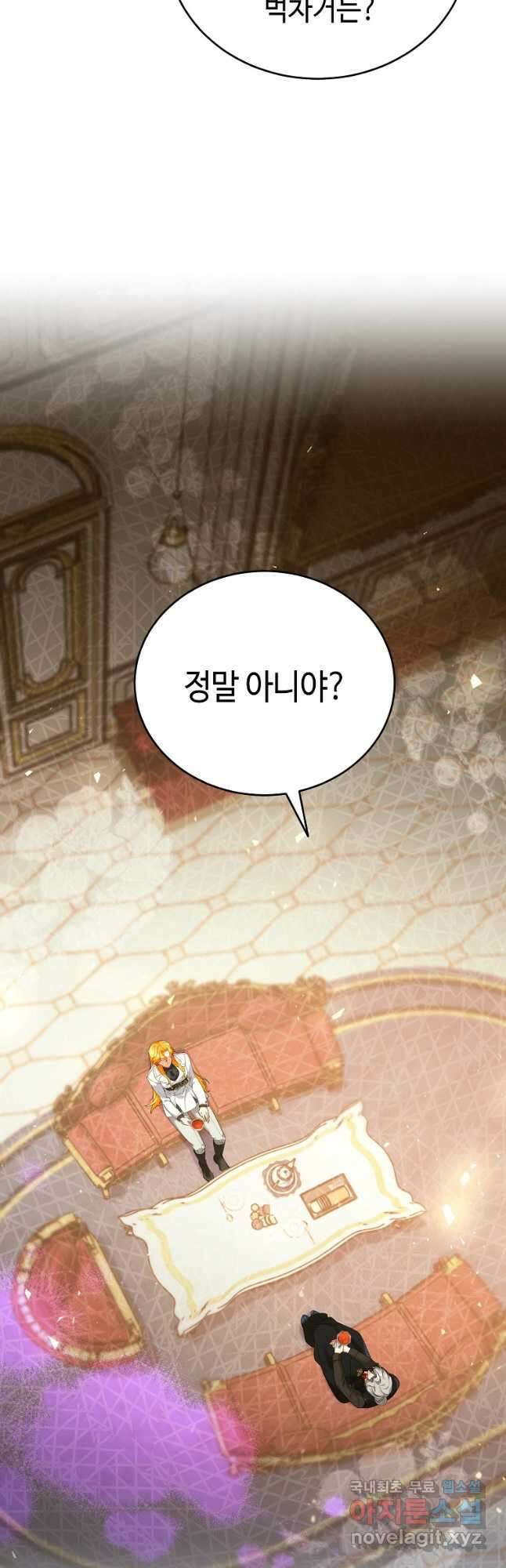 대공님의 애완 수인 41화 21