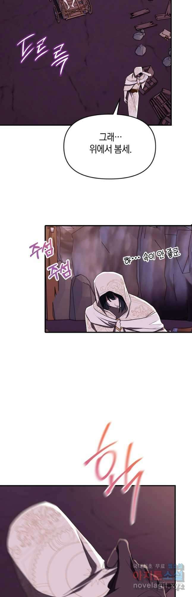 흑막을 치료하고 도망쳐버렸다 45화 4