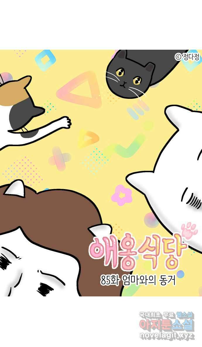 애옹식당 85화 엄마와의 동거 1