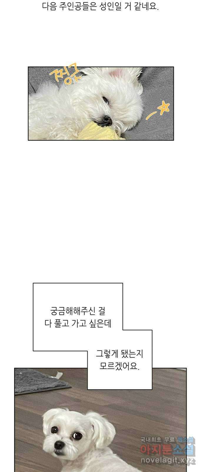 선을 넘은 연애 후기 24