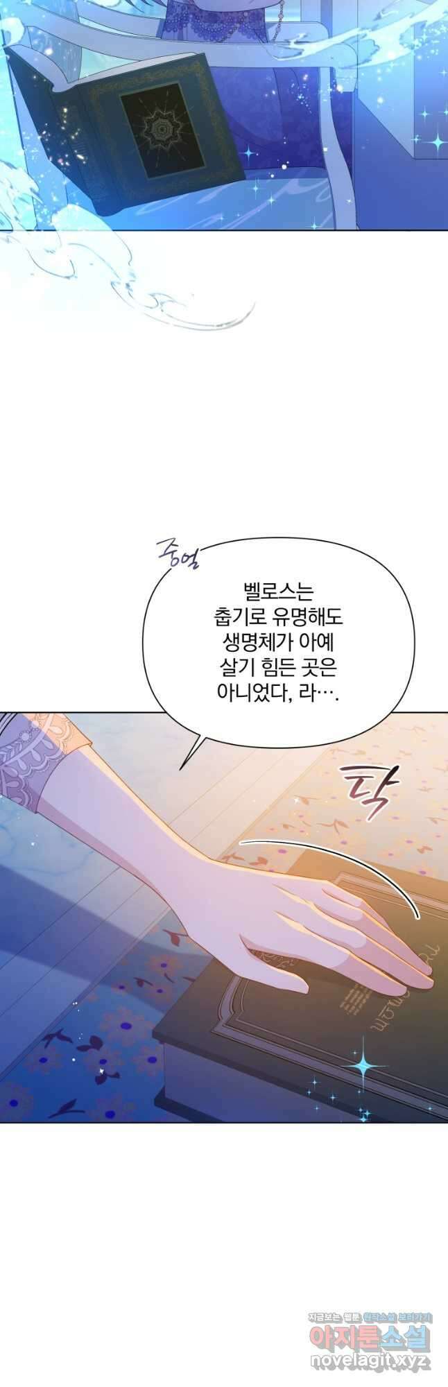 폭군의 보호자는 악역 마녀입니다 108화 10