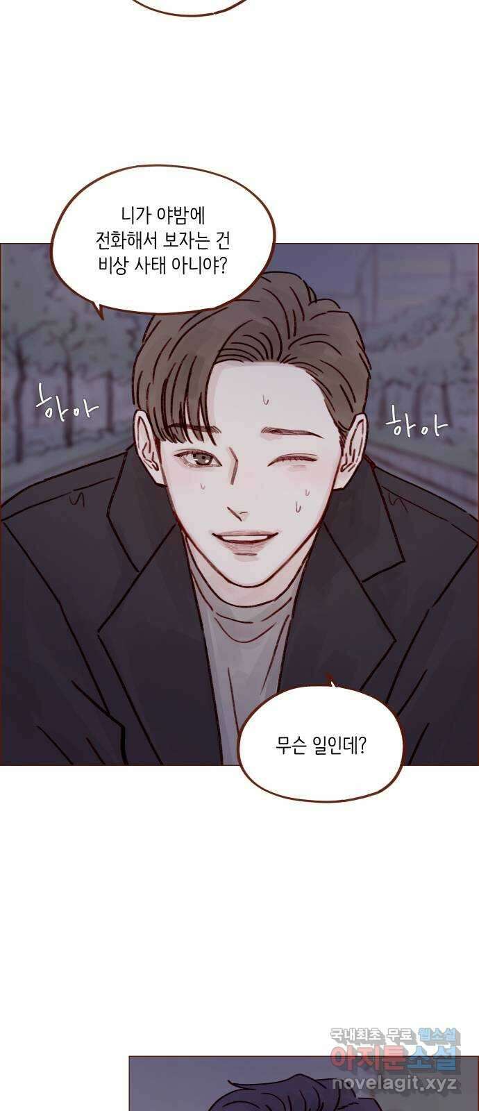 홍시는 날 좋아해! 256화 : 난 너 보러 왔는데 16