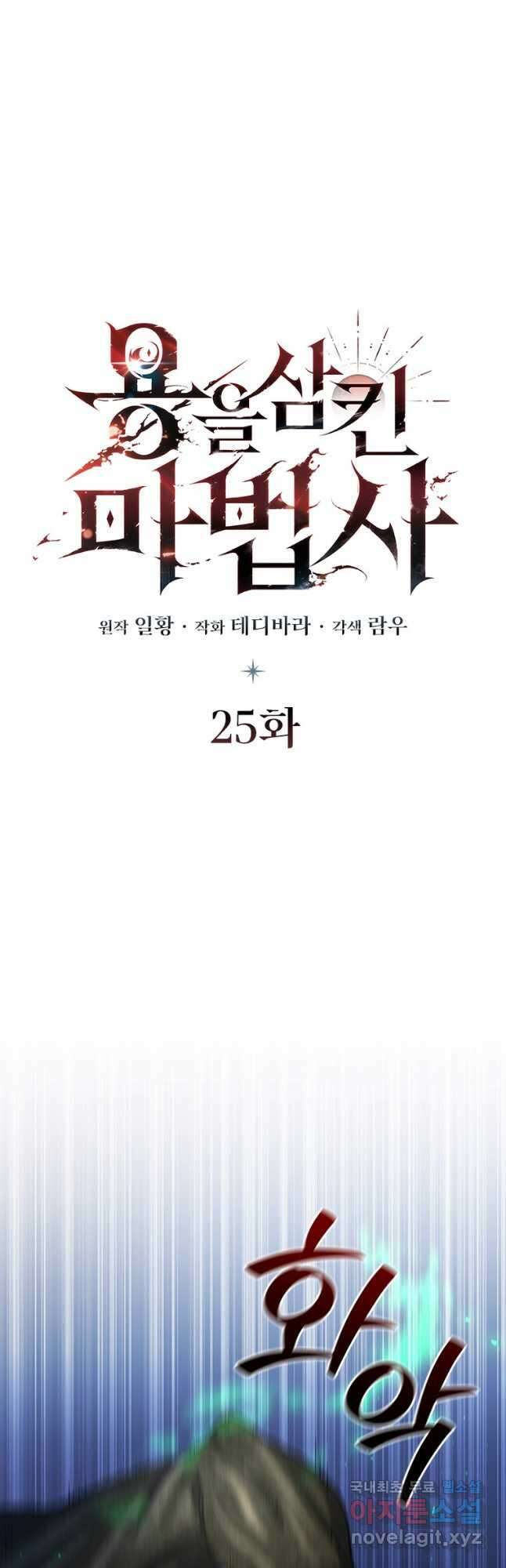 용을 삼킨 마법사 25화 12
