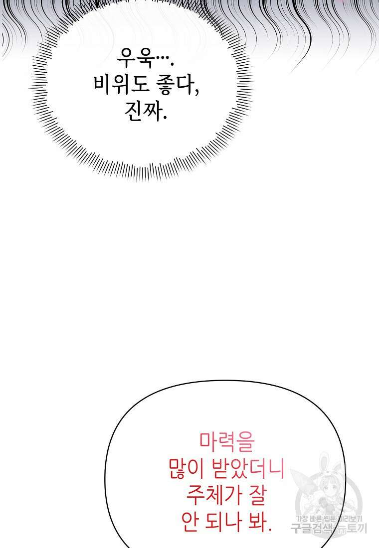 마녀의 딸이 남주의 저주를 풀면 14화 21