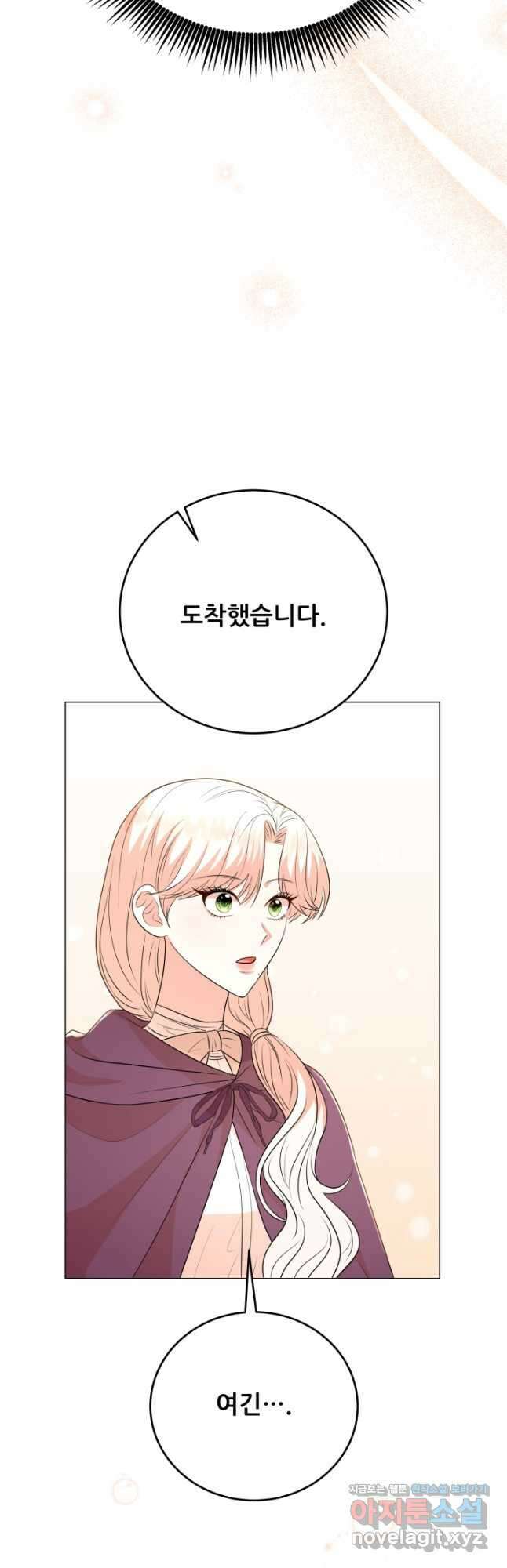 악역도 귀찮아서 95화 41
