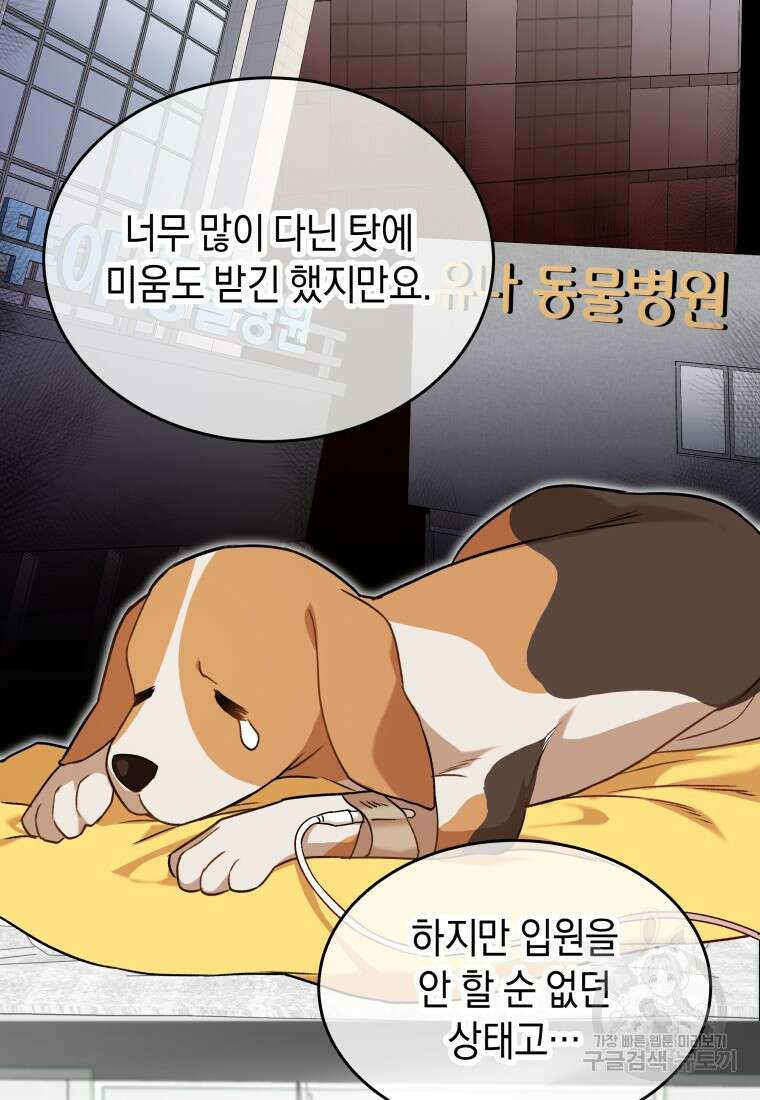 수의사님! 안녕하세요? 20화 16