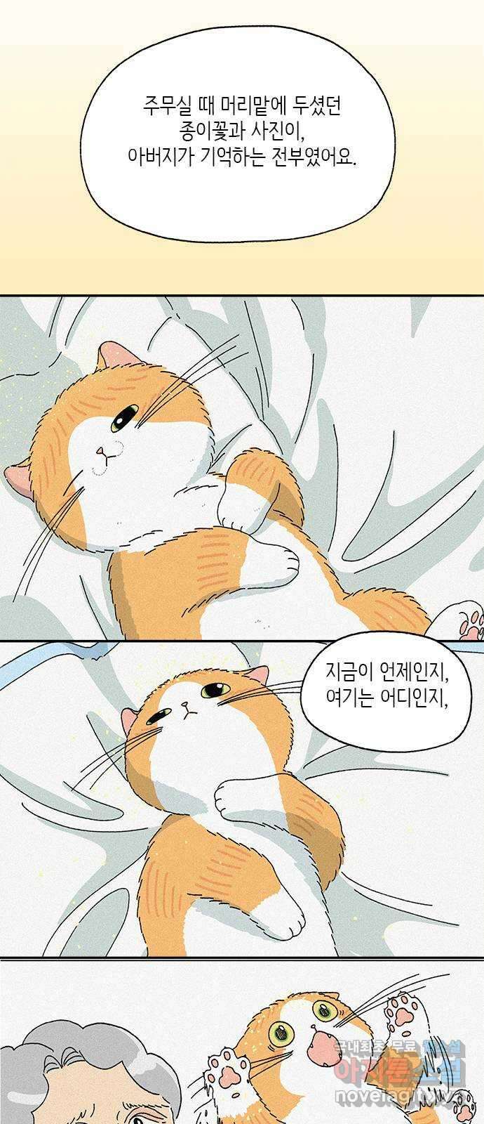 고양이 타타 37화 3