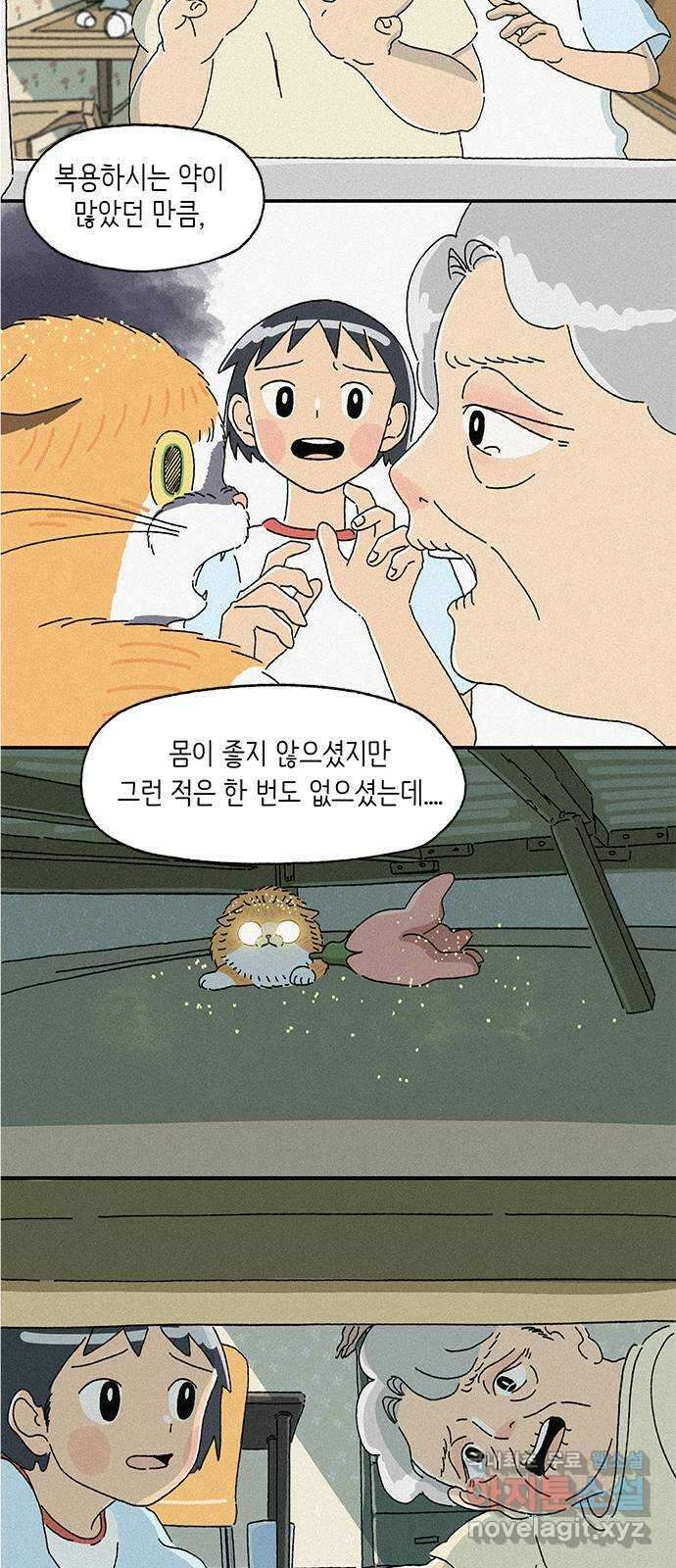 고양이 타타 37화 5