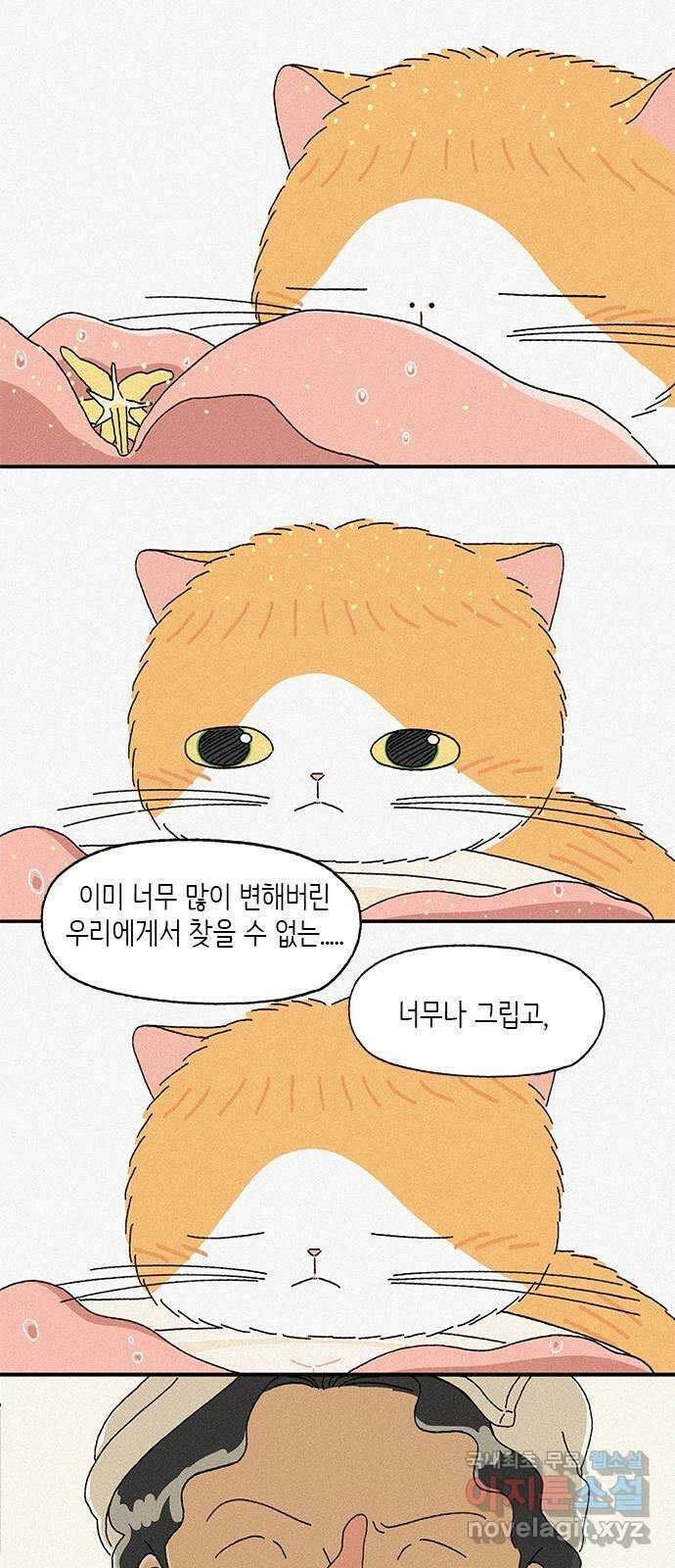 고양이 타타 37화 29