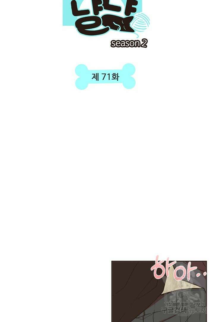 멍멍냥냥 71화 2