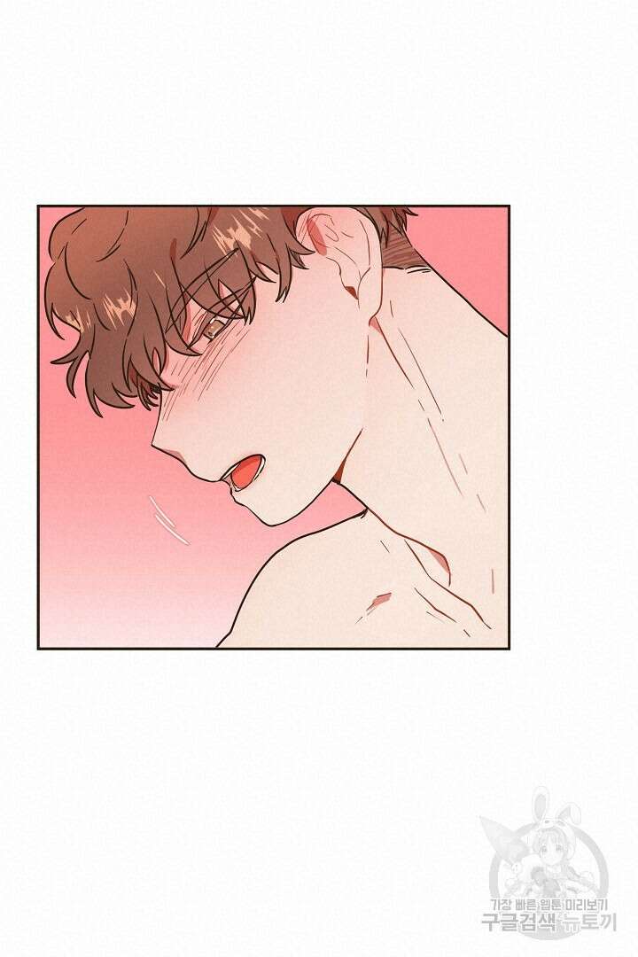 멍멍냥냥 71화 14