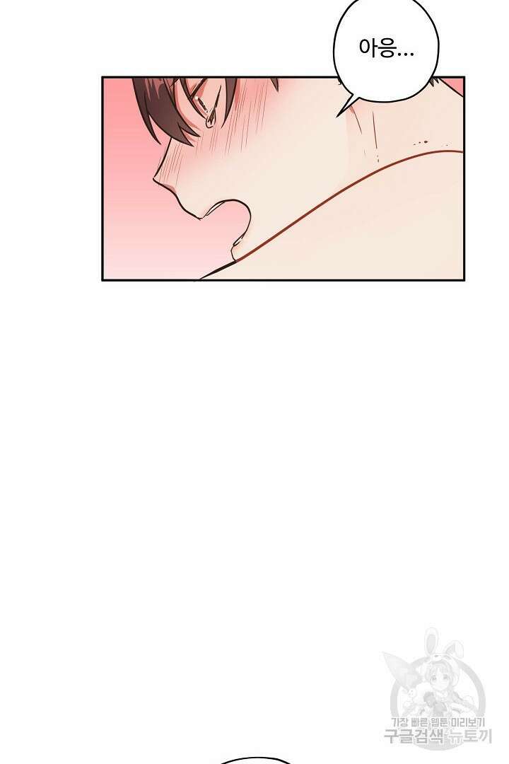 멍멍냥냥 71화 16