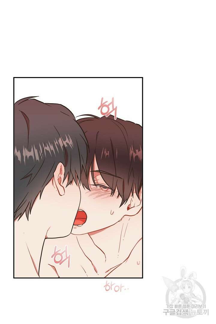 멍멍냥냥 71화 19