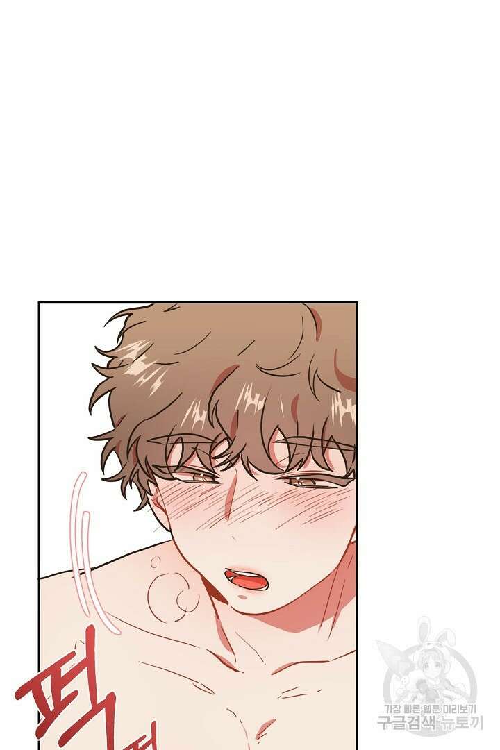 멍멍냥냥 71화 25