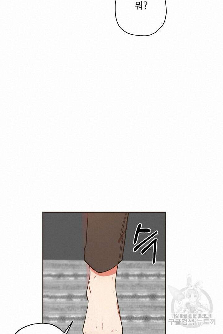 멍멍냥냥 71화 42