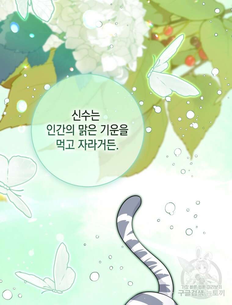 점괘보는 공녀님 24화 8