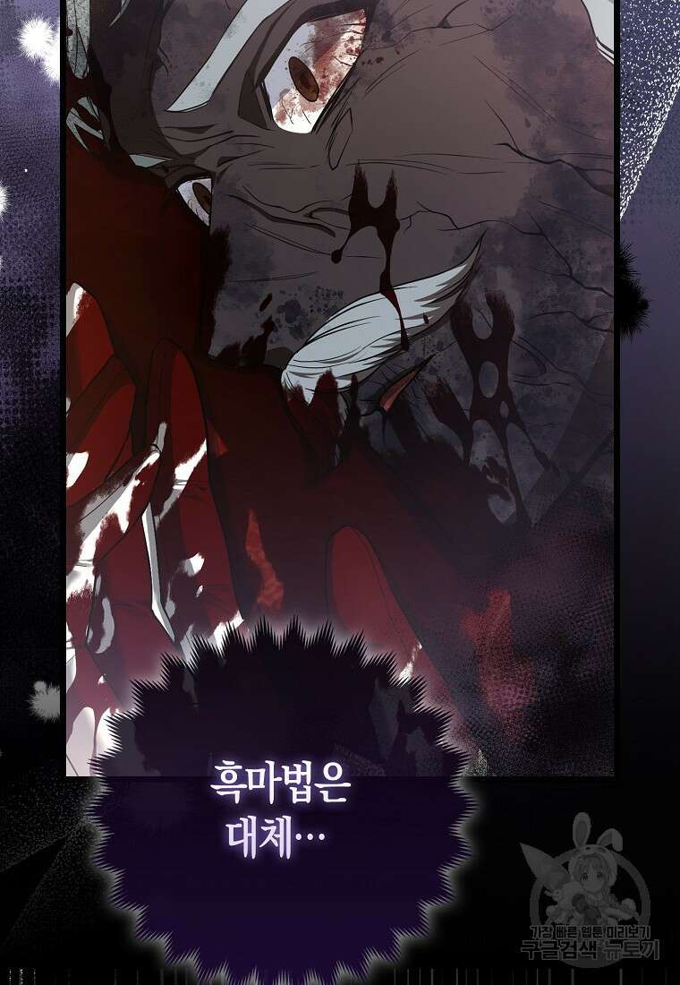 대공가의 여우 황녀님 17화 29