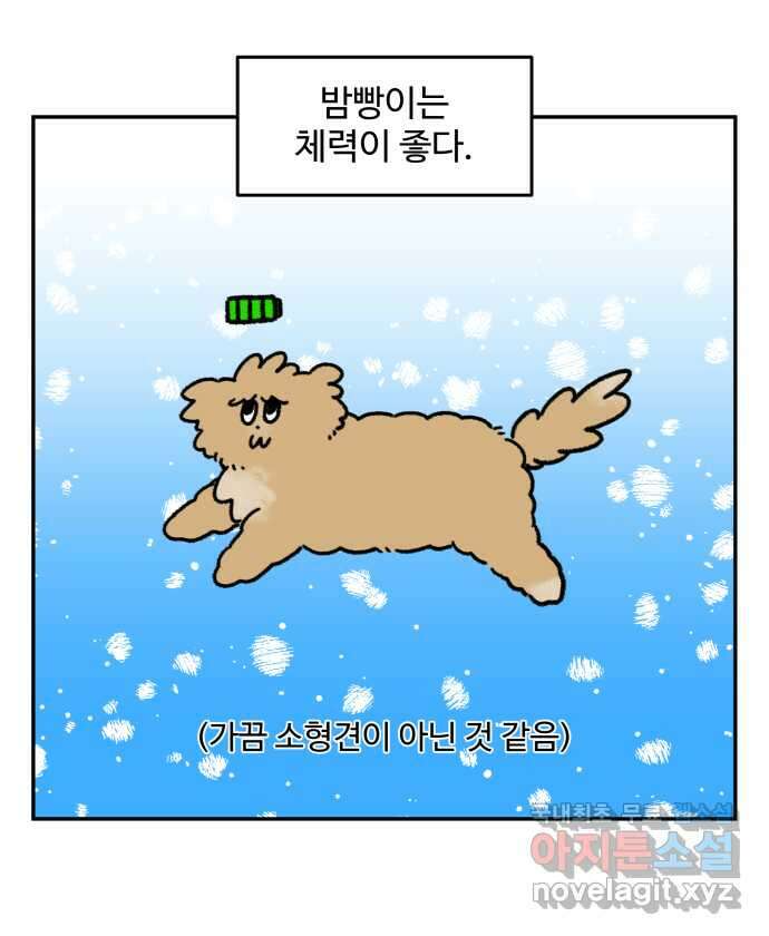 강아지는 멍멍하고 짖지 않아! 36화 - 작은 사람과 밤빵이 1