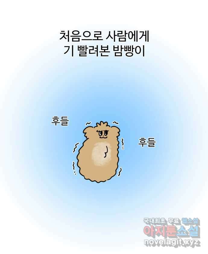 강아지는 멍멍하고 짖지 않아! 36화 - 작은 사람과 밤빵이 22