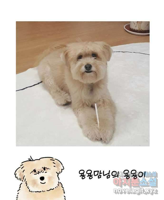 강아지는 멍멍하고 짖지 않아! 36화 - 작은 사람과 밤빵이 24