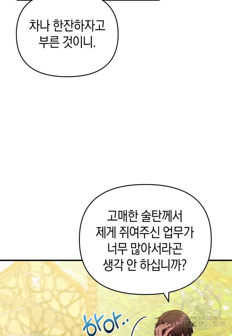 술탄의 귀한 고양이가 되었습니다 6화 3