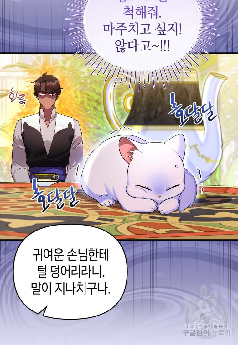 술탄의 귀한 고양이가 되었습니다 6화 8