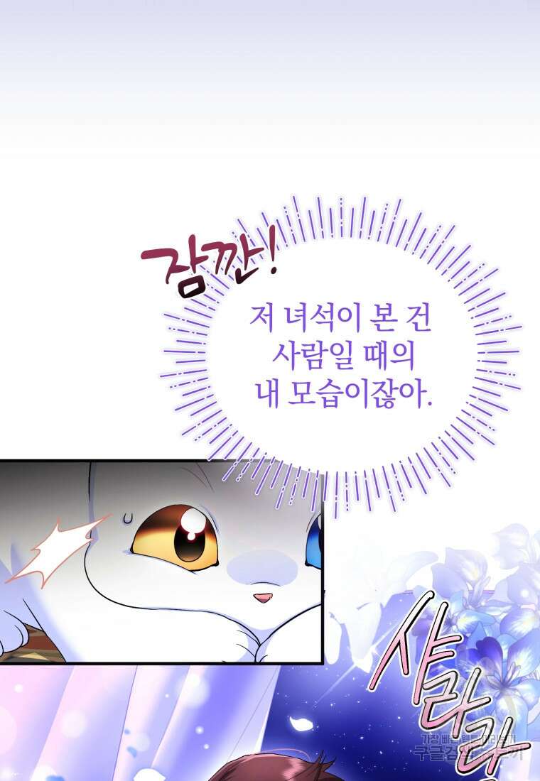 술탄의 귀한 고양이가 되었습니다 6화 9