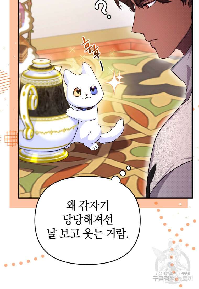 술탄의 귀한 고양이가 되었습니다 6화 12