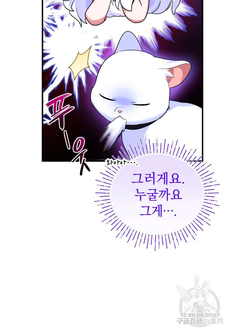 술탄의 귀한 고양이가 되었습니다 6화 17