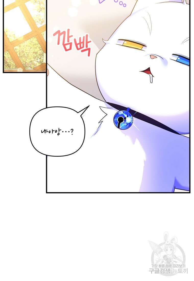 술탄의 귀한 고양이가 되었습니다 14화 2