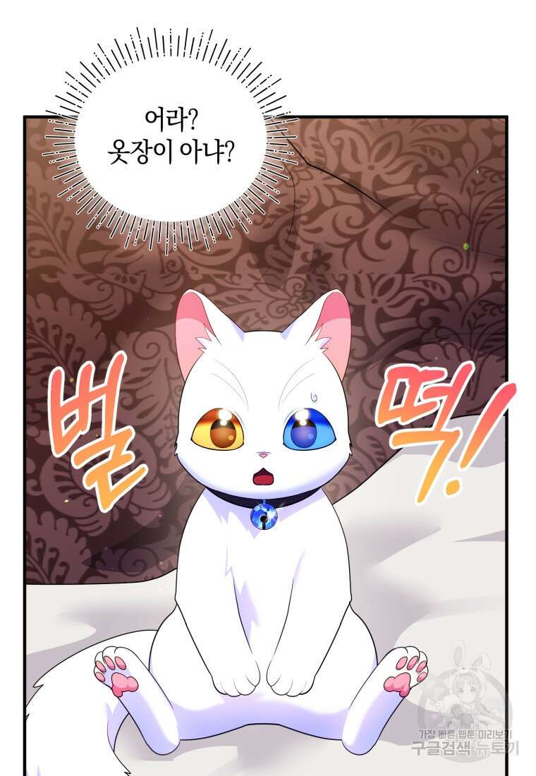 술탄의 귀한 고양이가 되었습니다 14화 3