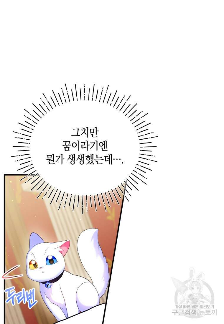술탄의 귀한 고양이가 되었습니다 14화 6