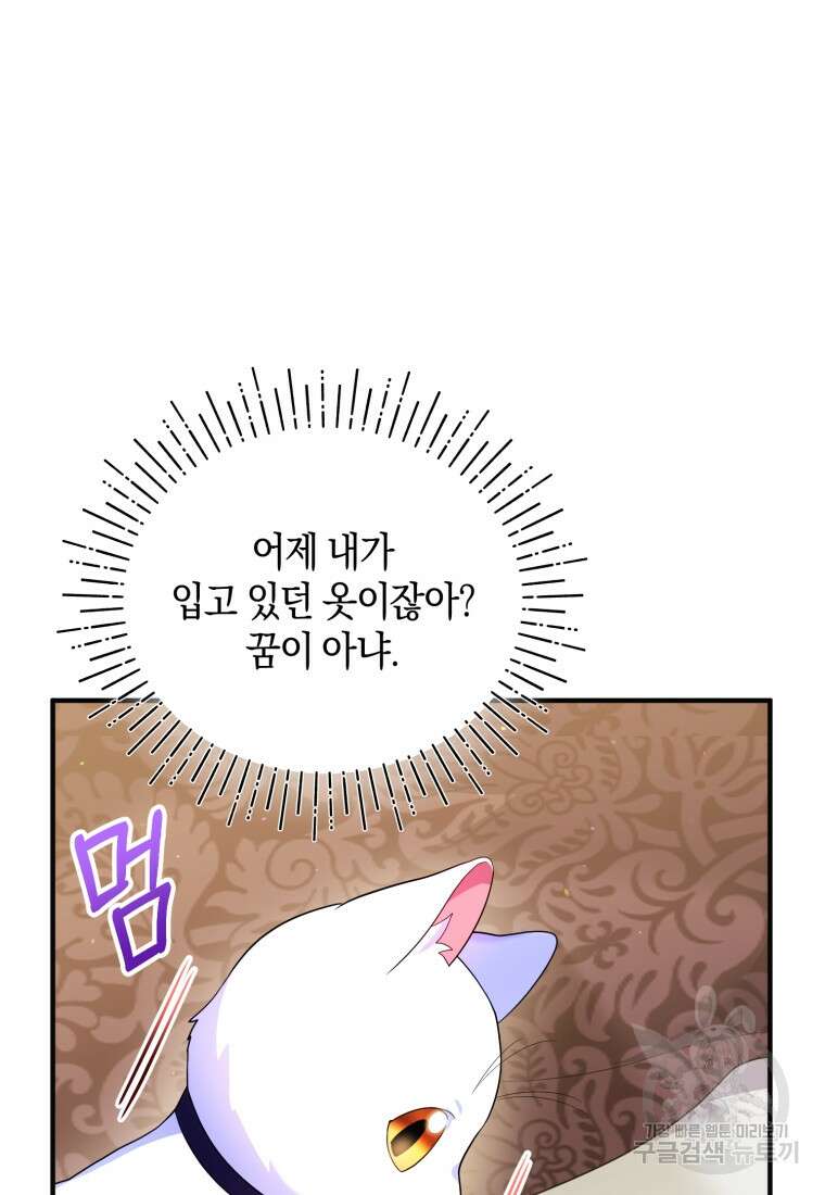 술탄의 귀한 고양이가 되었습니다 14화 8