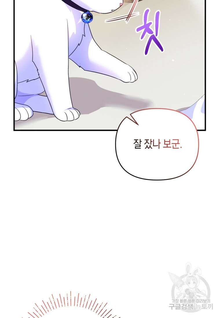 술탄의 귀한 고양이가 되었습니다 14화 9