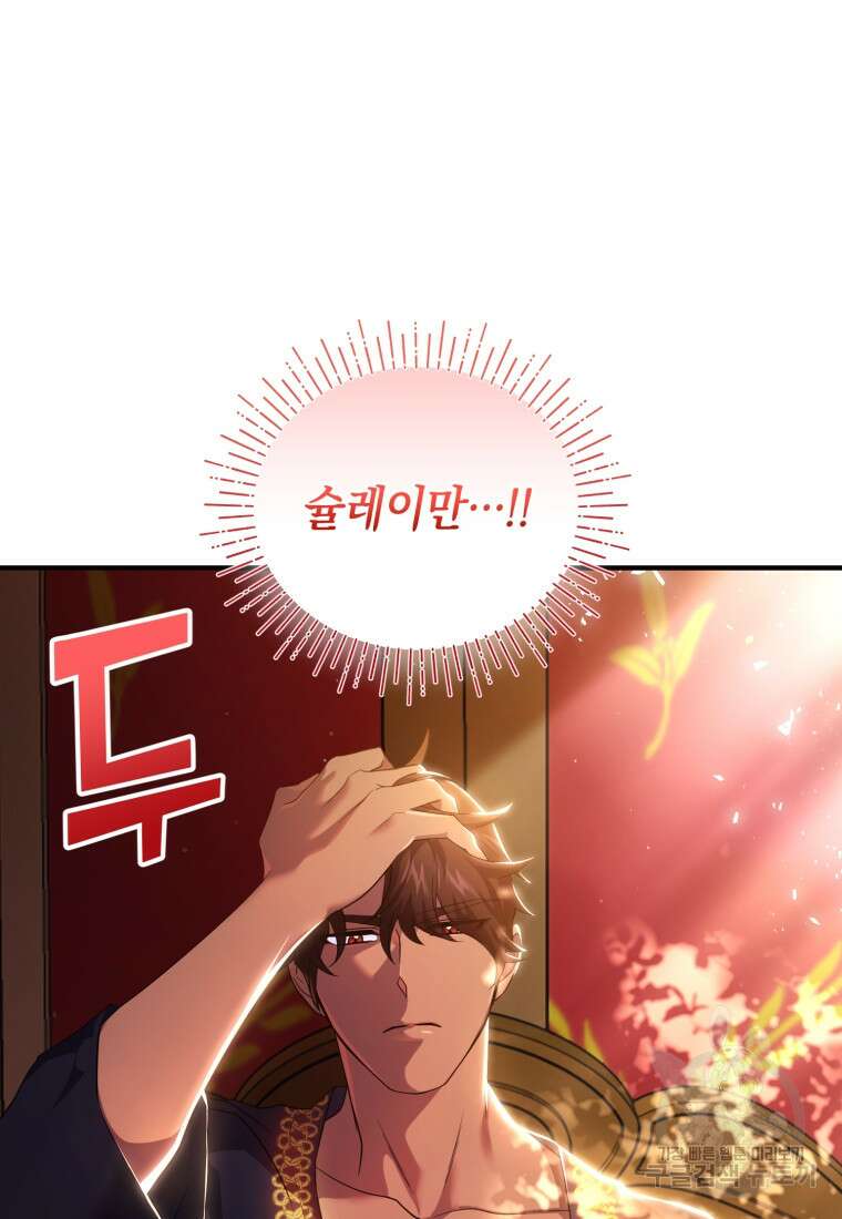 술탄의 귀한 고양이가 되었습니다 14화 11