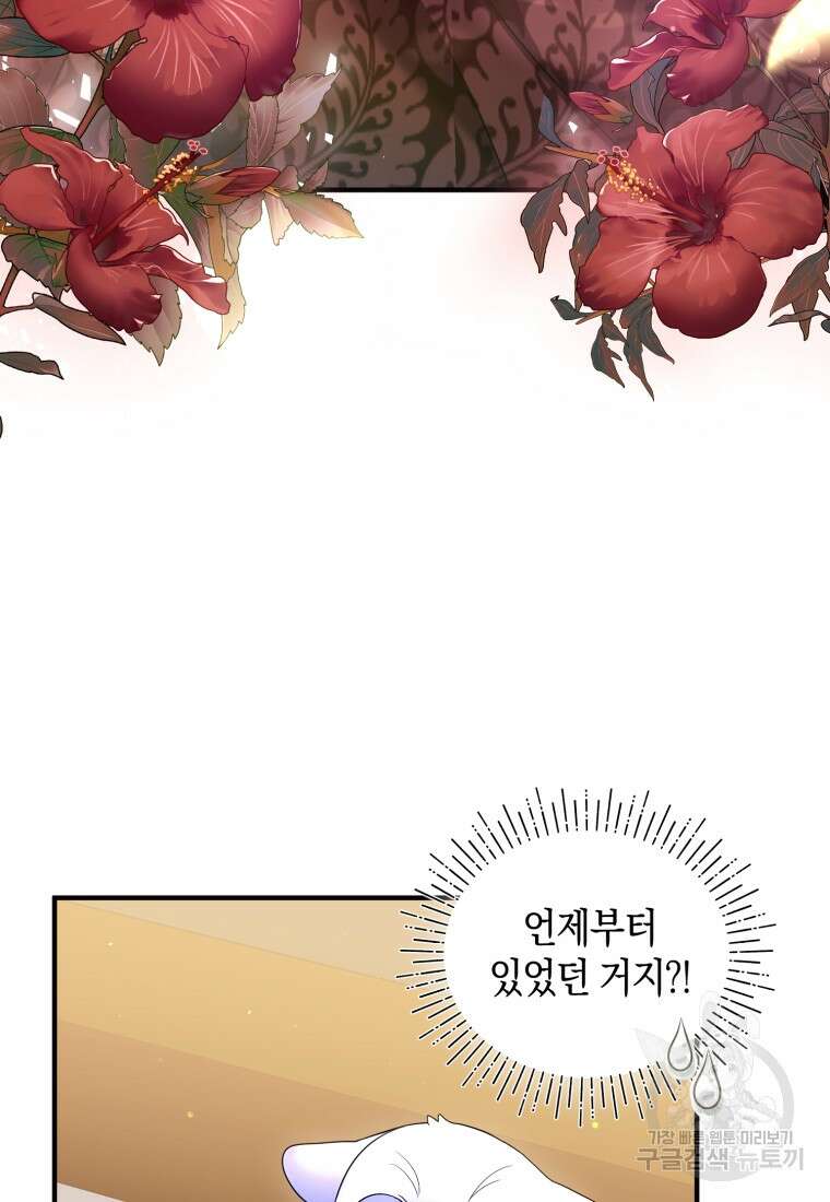 술탄의 귀한 고양이가 되었습니다 14화 13