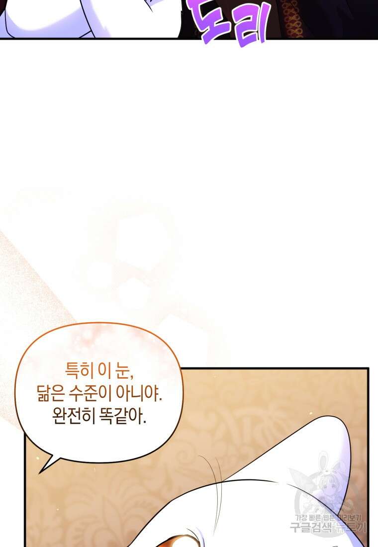 술탄의 귀한 고양이가 되었습니다 14화 20