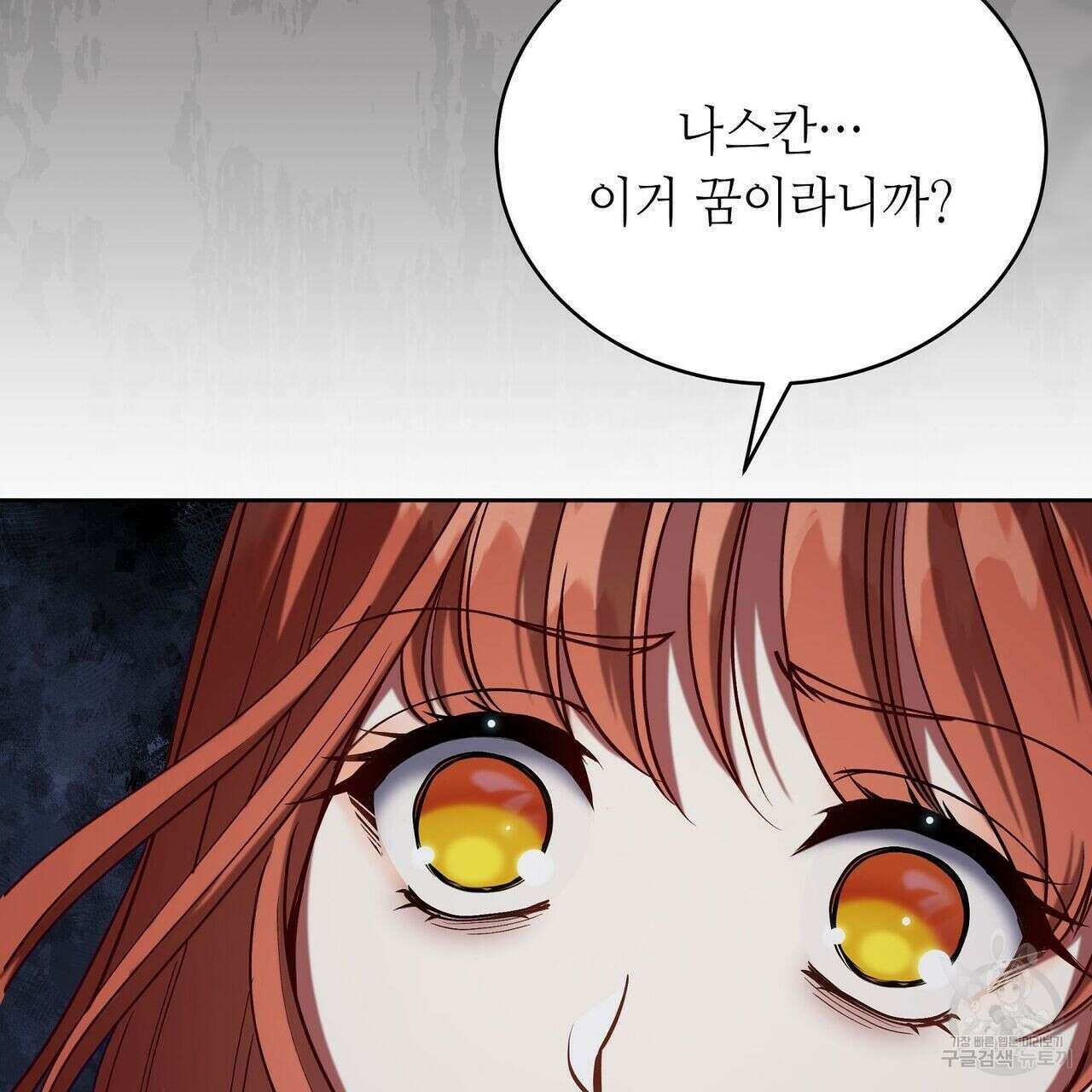 미명의 추적자 48화 29