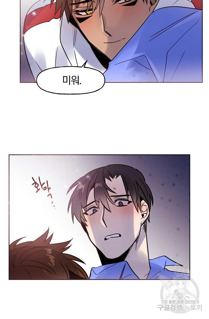 골판지 상자 안 고양이씨 시즌2 3화 5