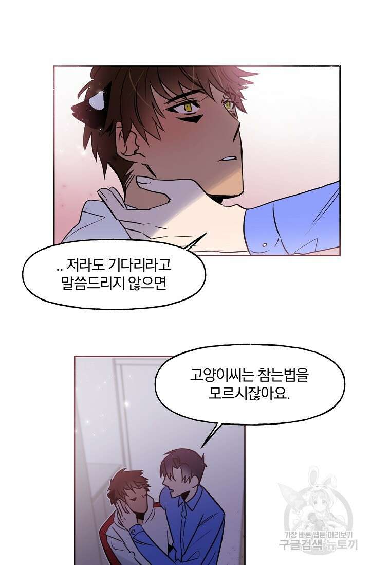 골판지 상자 안 고양이씨 시즌2 3화 6