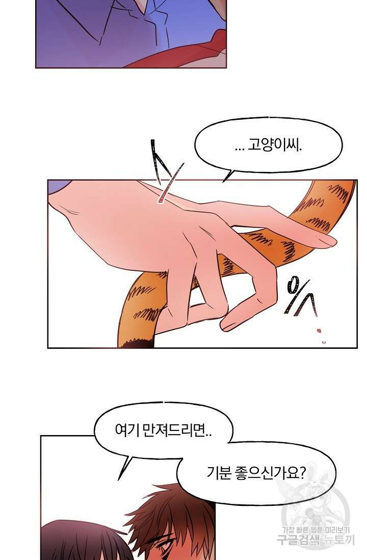 골판지 상자 안 고양이씨 시즌2 3화 19