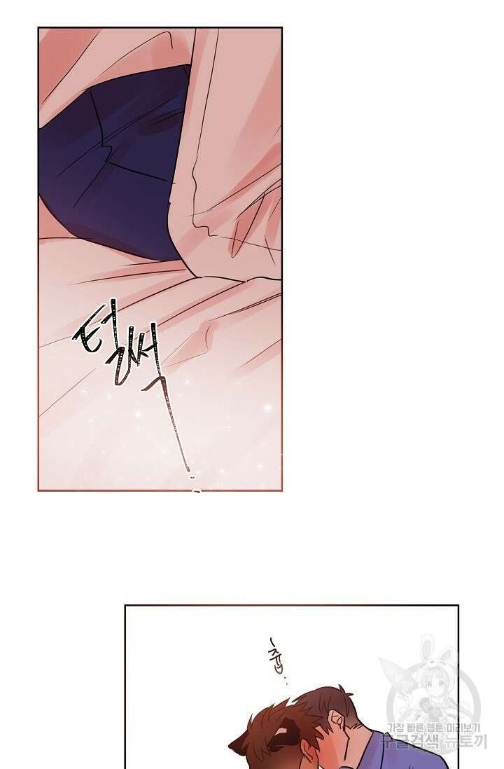 골판지 상자 안 고양이씨 시즌2 3화 28