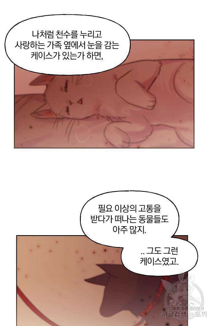 골판지 상자 안 고양이씨 시즌2 17화 28