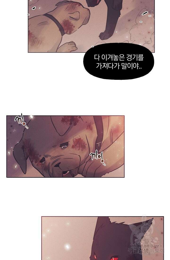 골판지 상자 안 고양이씨 시즌2 17화 31