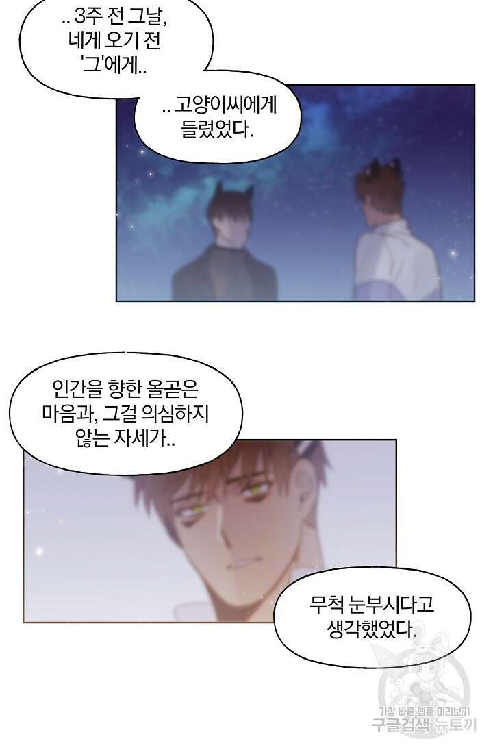 골판지 상자 안 고양이씨 시즌2 25화 17