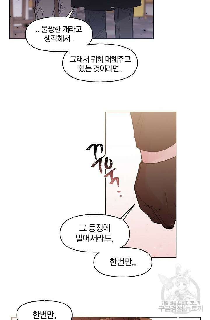 골판지 상자 안 고양이씨 시즌2 25화 31