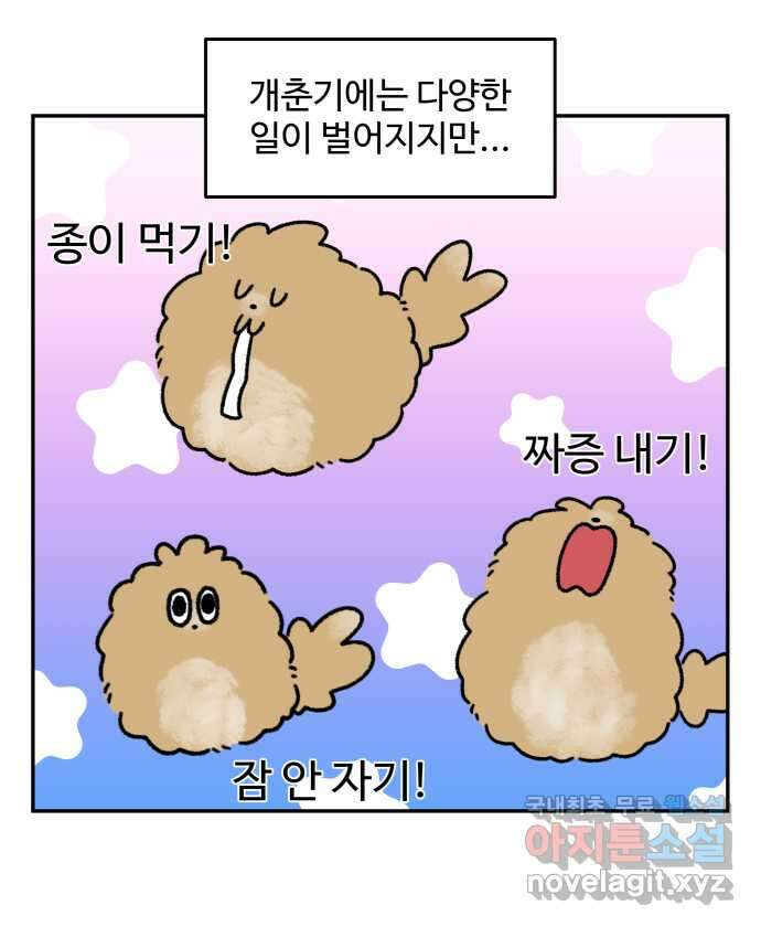 강아지는 멍멍하고 짖지 않아! 40화 - 개춘기 2 1