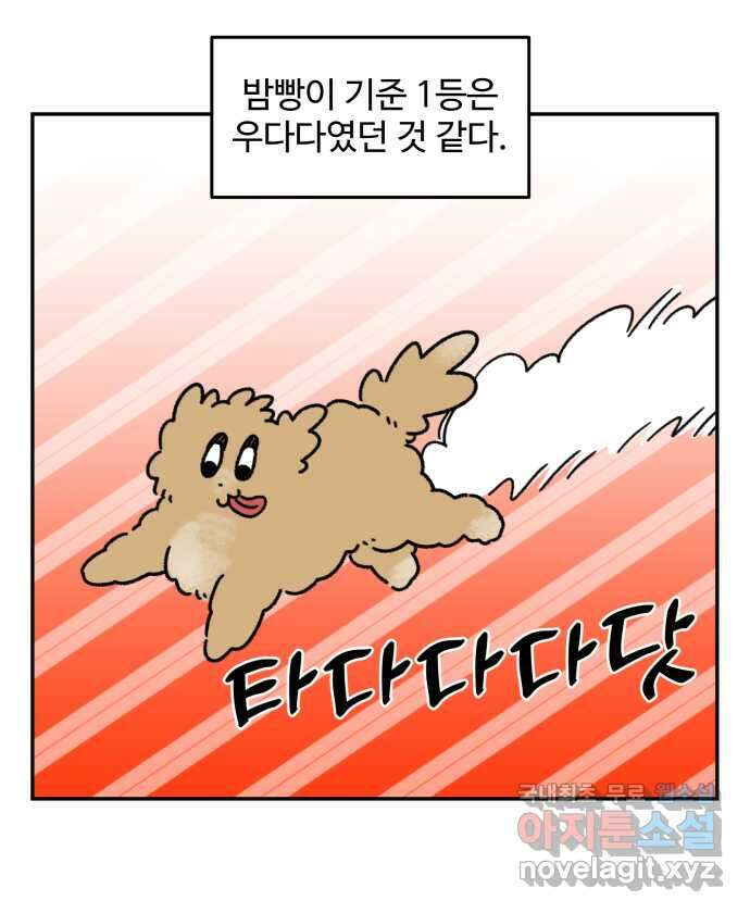 강아지는 멍멍하고 짖지 않아! 40화 - 개춘기 2 2