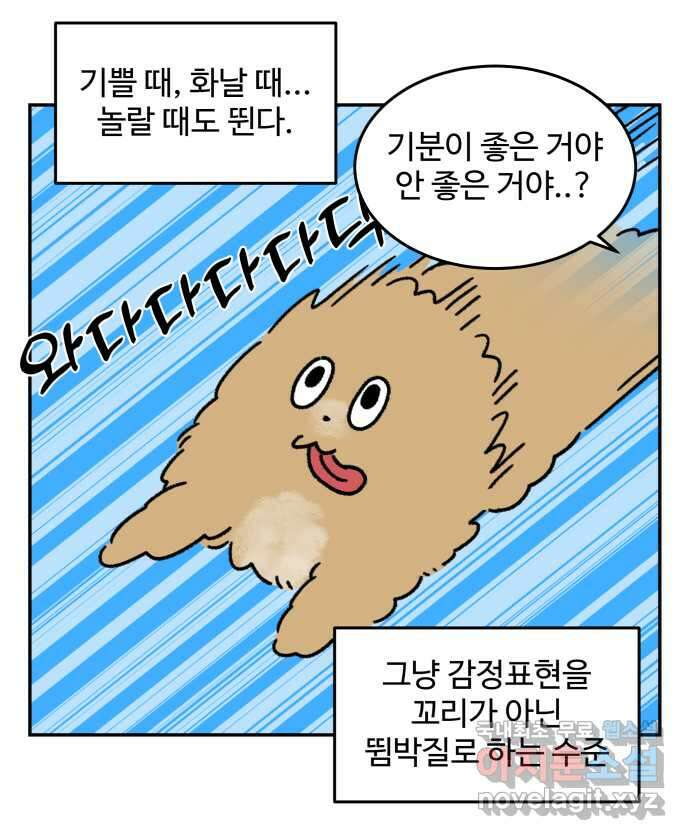 강아지는 멍멍하고 짖지 않아! 40화 - 개춘기 2 3
